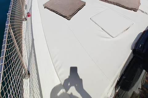 Estepona: Dolphins Searching Sea Cruise with Drink & Snacks Group Cruise