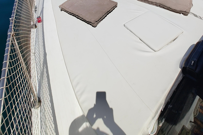 Estepona: Dolphins Searching Sea Cruise with Drink & Snacks Group Cruise