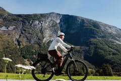 Geiranger: Geführte E-Bike-Tour mit Adlerstraße & kleiner Gruppe