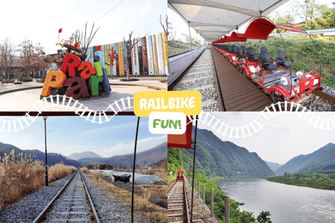 Von Seoul aus: Alpakafarm mit Bahnrad/RodelrennenRailbike-Gruppentour, Treffen in Dongdaemun (DDP)