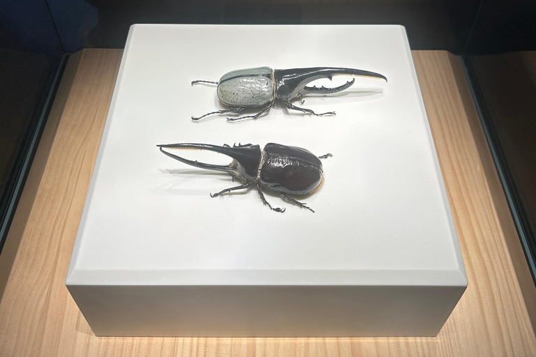 Shanghai Natural History Museum Admission Ticket