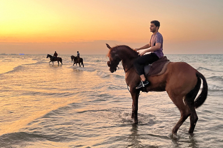 From Muscat: Horse Riding by the Beach