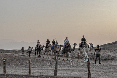 Marraquexe: Agafay Desert Quad &amp; Camel Rides with Dinner Show