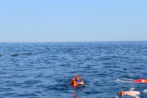 Puerto Escondido: Bootstour zu Delfinen und MeerestierenPrivate Tour