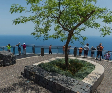 Madeira: Dagtrip naar het Westelijke Eiland