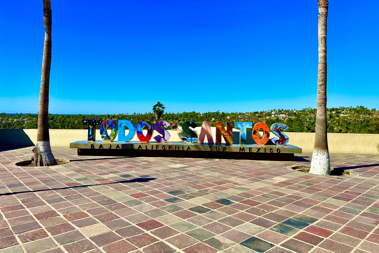 La Paz: Todos Santos Day Trip