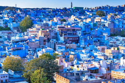 Da Pushkar: tour di un giorno alla città blu di Jodhpur