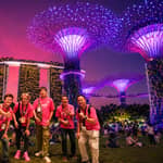Singapore: crociera fluviale, Garden Rhapsody e Spectra by CYT