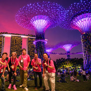 Singapore River Cruise, Garden Rhapsody & Spectra by CYT
