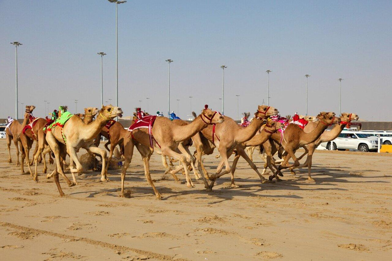 Doha: Richard Serra Sculpture, Mushroom Hills & Zekreet Fort