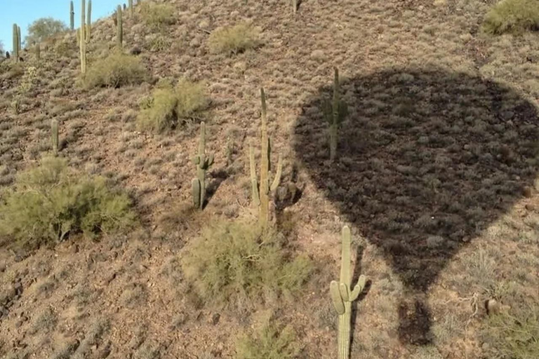 Phoenix: Hot Air Balloon Ride Over the Sonoran Desert