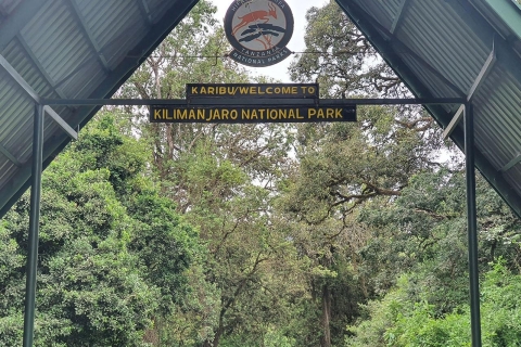 Kilimandjaro : 8 jours de trek sur la route Machame avec transferts aéroport