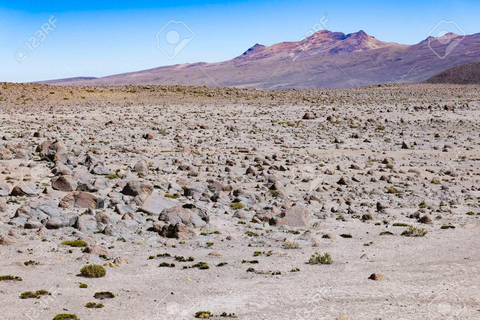 De Chivay - Colca || Ruta Chivay - Puno ||