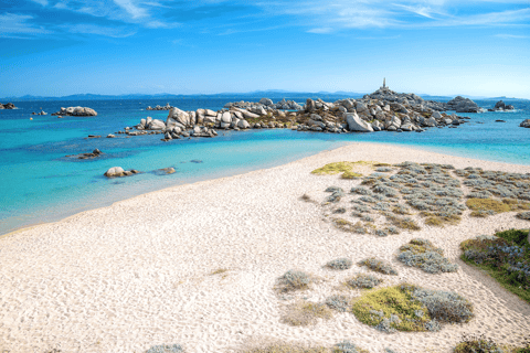 From Bonifacio: Lavezzi Islands and Bonifacio Boat Tour