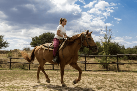 Horseback Riding Experience in Toledo and Full-Day Puy du Fou Tour with Transfers from Madrid Full Day: Transfers from Madrid + Horseback Riding Visit + Daytime Admission to Puy du Fou. Top Choice