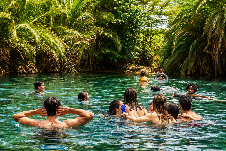 From Moshi: Chemka Hot Springs Day Trip with Lunch