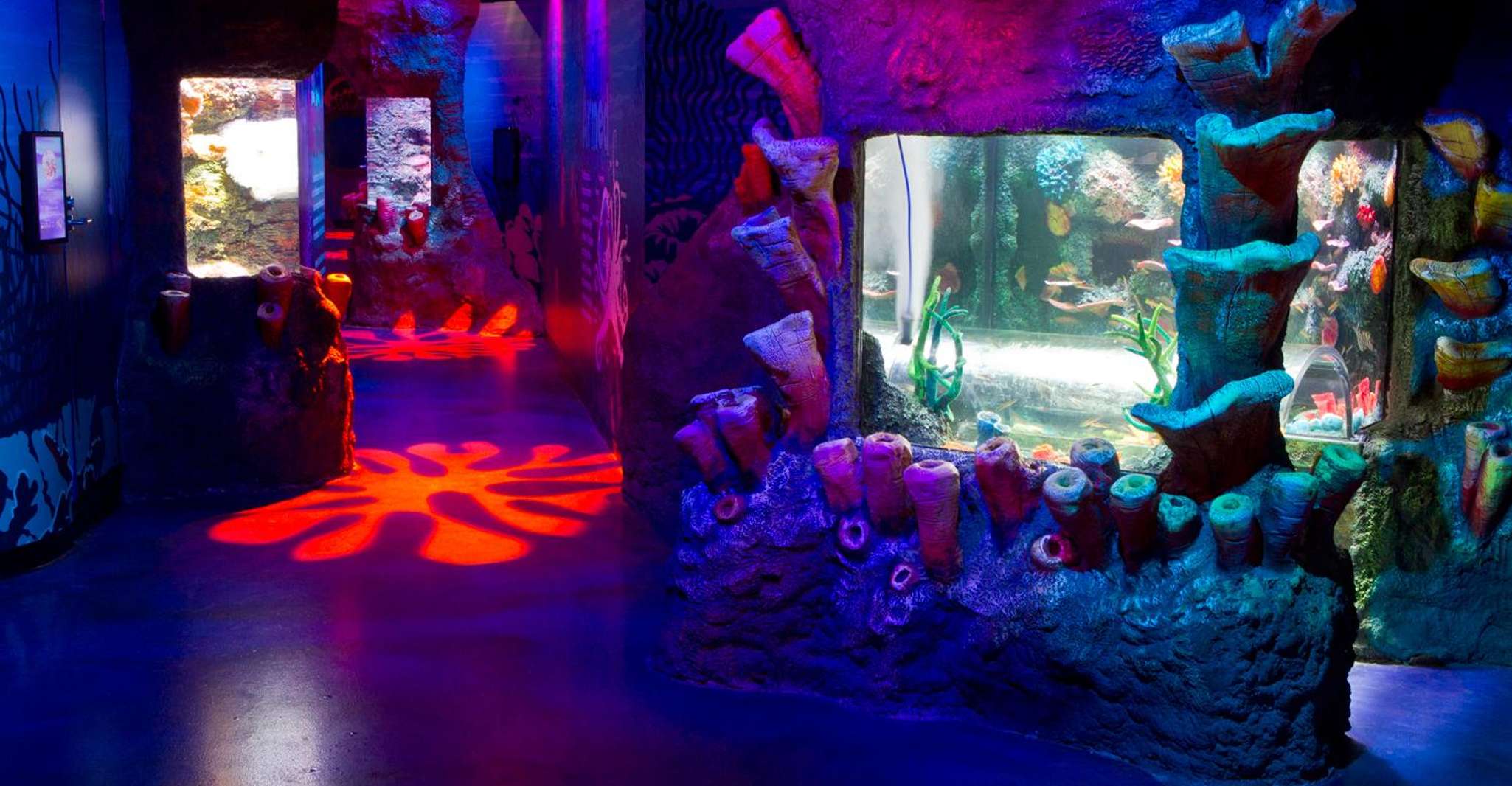 Melbourne: SEA LIFE Aquarium Entrance Ticket photo 16