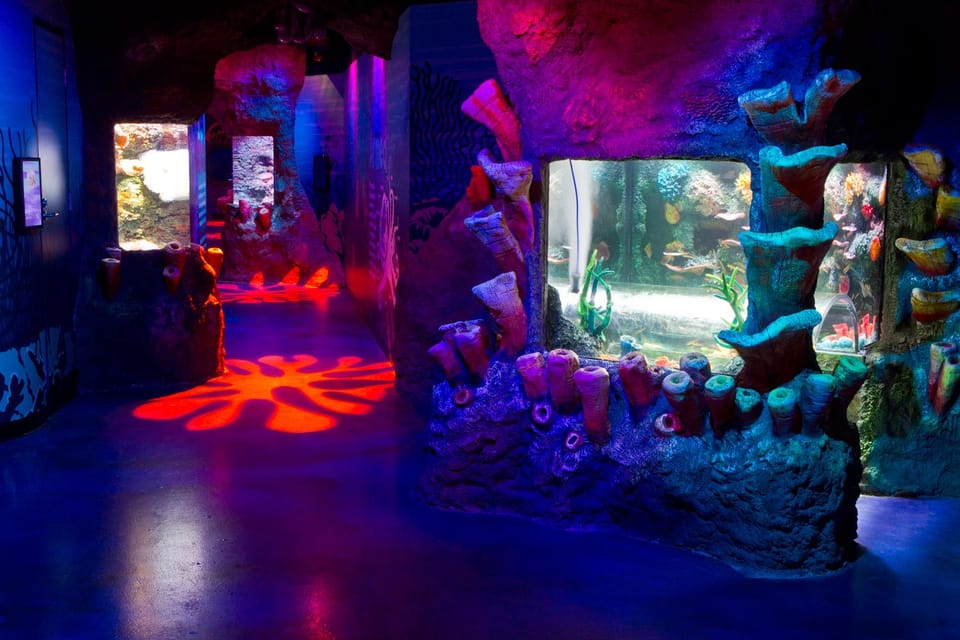 Melbourne: SEA LIFE Aquarium Entrance Ticket | GetYourGuide