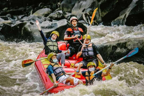 يوجياكارتا: ميرابي جيب وماجيلانج للتجديف