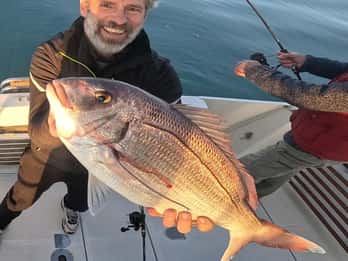 4-hour FISHING DAY by BOAT departing from Hondarribia