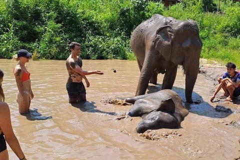 Chiang Mai: Santuario degli elefanti Custodi locali della tribù delle colline
