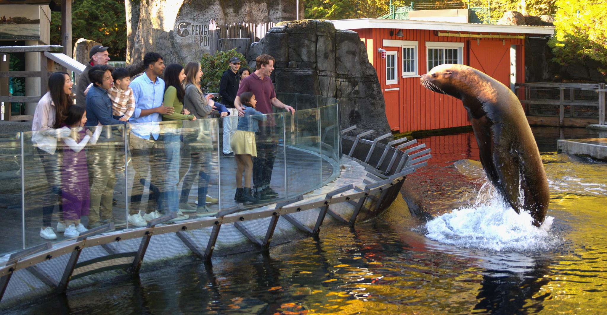 Vancouver Aquarium: Skip-the-Line Ticket