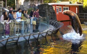Vancouver Aquarium: Skip-the-Line Ticket