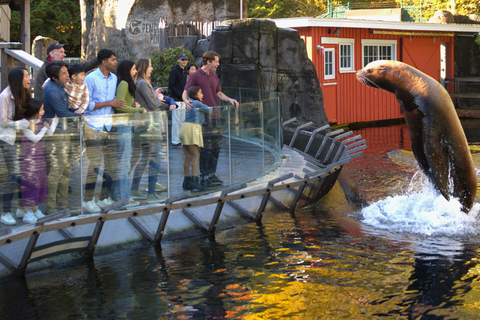 أكواريوم فانكوفر: تذكرة دخول فوري