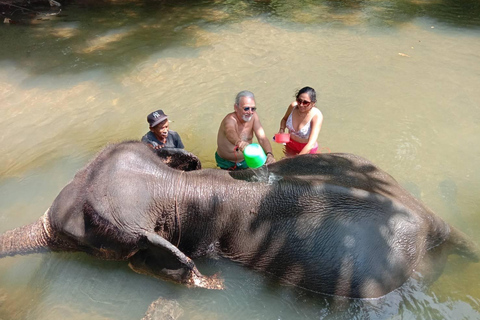 Krabi Elafante e avventura in fuoristrada(30min/30min)Krabi Elaphant: bagno e avventura in fuoristrada