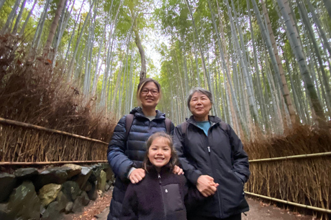 Kyoto: Private Tour with Licensed Guide & Vehicle Regular Car (Up to 2)