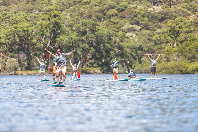 Sydney - ett äventyr SUP-äventyr och vandring i Figure Eight Pools