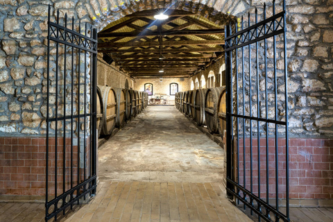 Patras: City Tour with Optional Visits and Wine Tasting