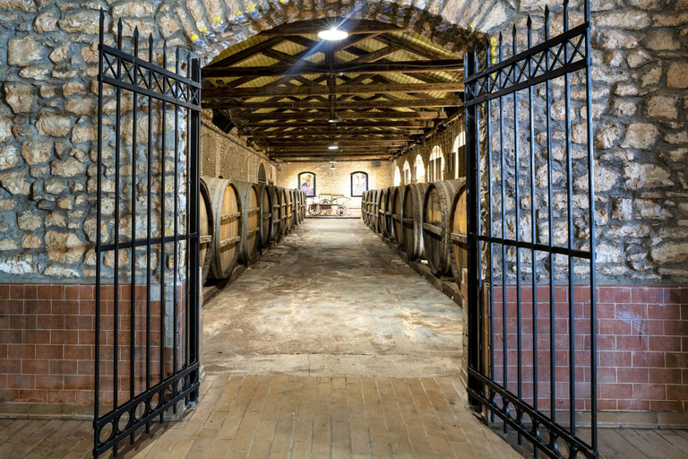 Patras: City Tour with Optional Visits and Wine Tasting