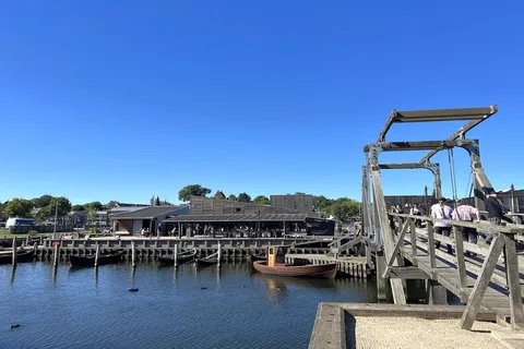 Köpenhamn: Roskilde Viking City Tour på engelska