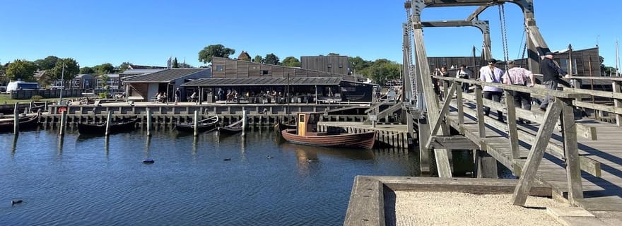 Copenhague : visite de Roskilde, la ville viking en espagnol