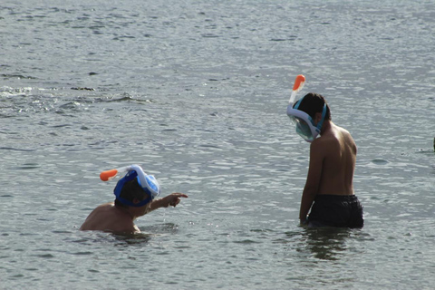 Sal Island: Eco Snorkeling Tour w/ Reef, Turtles & Shipwreck