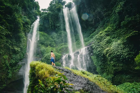 North Bali: Private Customizable Day Tour (All-Inclusive) make your own favorite itenerary