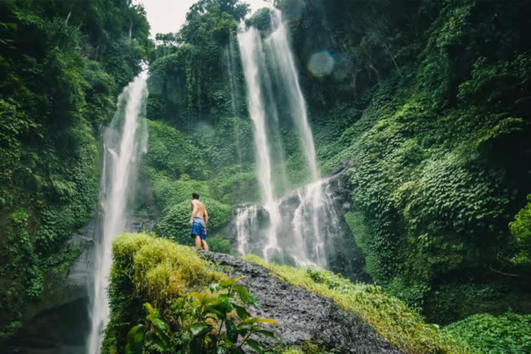 North Bali: Private Customizable Day Tour (All-Inclusive) make your own favorite itenerary