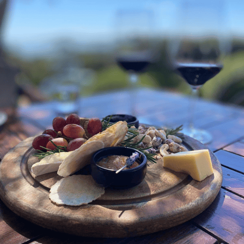 Waiheke Island Scenic Wine Tour