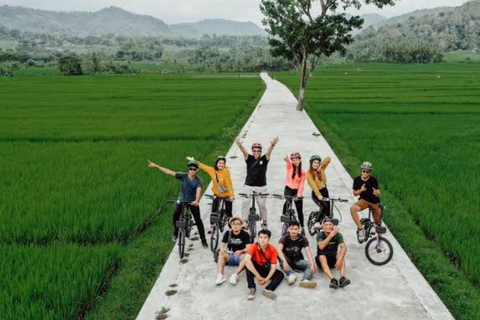 Yogyakarta: Half-Day Guided Bike City Tour