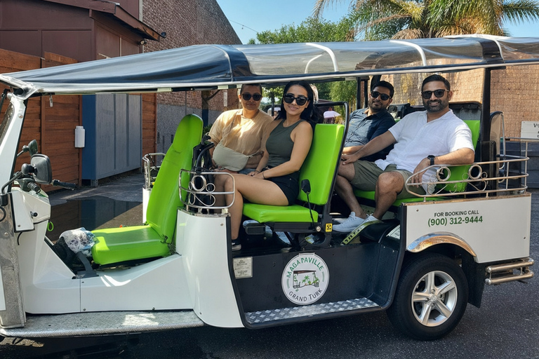 Jacksonville: Downtown City and Drinks Tuk Tuk Tour Private Downtown City and Drinks Tour