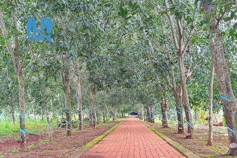 Desde Ho Chi Minh: Campo de batalla de Long Tan Nui Dat Vung TauDesde Ho Chi Minh: Campo de batalla de Long Tan Nui Dat, Vung Tau