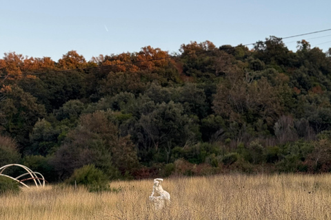 Cape of Rodon: Castle, Monastery & Beach Day from Tirana