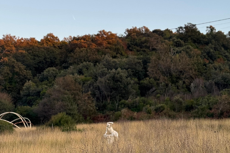 Cape of Rodon: Castle, Monastery & Beach Day from Tirana