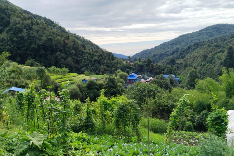 Pokhara : 4 jours de randonnée dans les montagnes Ghorepani, Poonhill et Ghandruk
