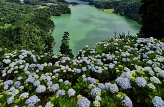 São Miguel: tour di Sete Cidades e Lagoa do Fogo con pranzo