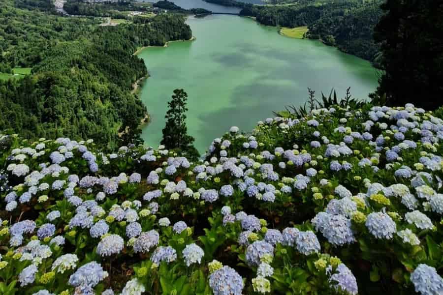 São Miguel: Tour zum Sete Cidades & Lagoa do Fogo mit Mittagessen. Foto: GetYourGuide São Miguel: Tour zum Sete Cidades & Lagoa do Fogo mit Mittagessen. Foto: GetYourGuide