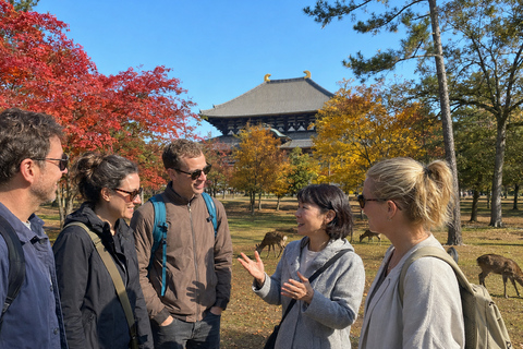 Nara: Autumn Colors, Deer & Historic Park Walk Early Bird 20% Off – Limited Autumn Offer