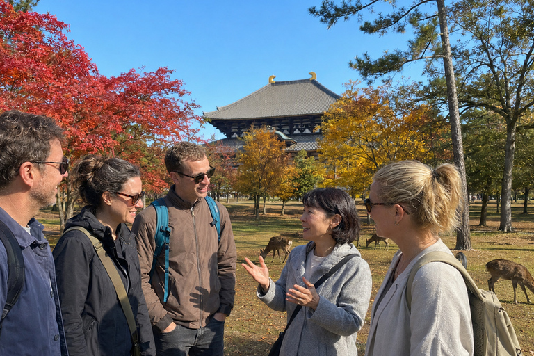 Nara: Autumn Colors, Deer & Historic Park Walk Early Bird 20% Off – Limited Autumn Offer