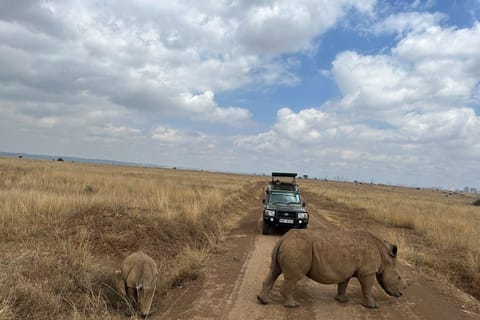 Tour completo o di mezza giornata del Parco Nazionale di Nairobi con guida